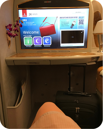 VANESSA ARAÚJO - CURSO PC (56)